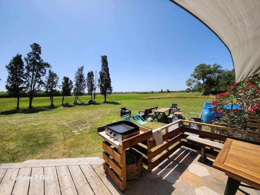 Petite Maison Cosy Hyères Extérieur photo